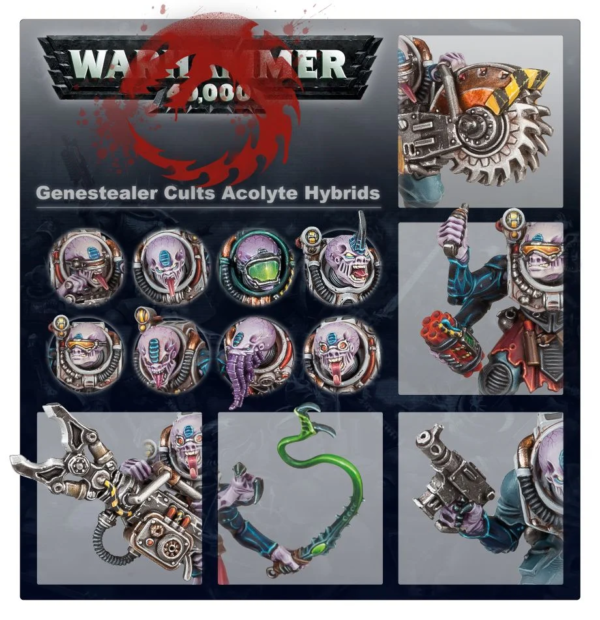 warhammer-40000-genestealer-cults-acolyte-hybrids2