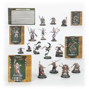 Chaos Warbands: Reavers of Ruin